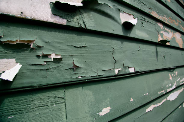 Best Siding for Multi-Family Homes  in Mount Zion, GA